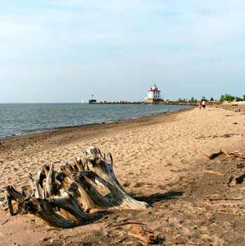 piece of wood on the sand